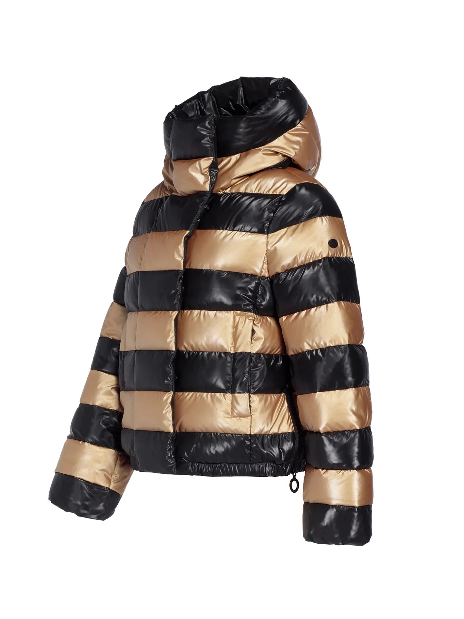 DAZZLE Jacket W