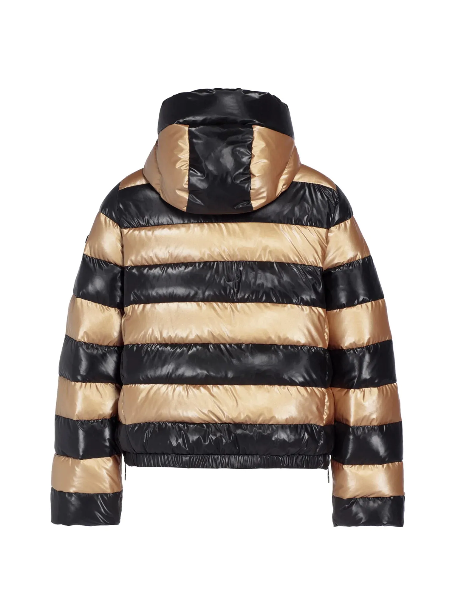 DAZZLE Jacket W