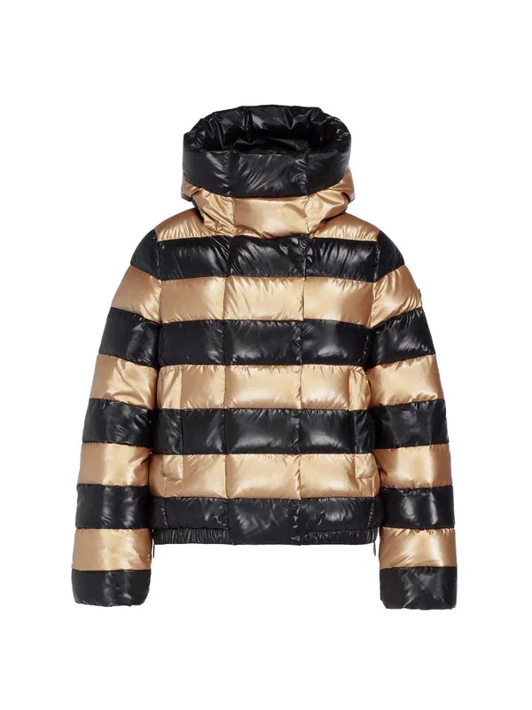 DAZZLE Jacket W